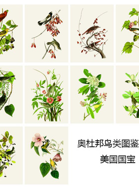 奥杜邦鸟类图鉴32款美式客厅三联