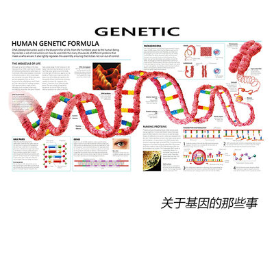 海报英文版诊所医院装饰画芯