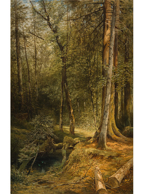 森林与沼泽捷克风景油画装饰画芯