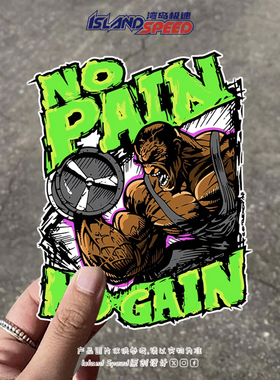 个性美式NO PAIN NO GAIN疯狂举重健身绿色徽标时尚装饰运动贴纸