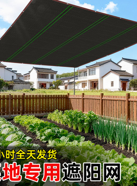 蔬菜防老化遮阴网庭院韭菜生菜加密太阳网高密度遮阳网阴凉黑色网