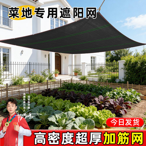 阳台种菜高密度加厚防晒遮阳网