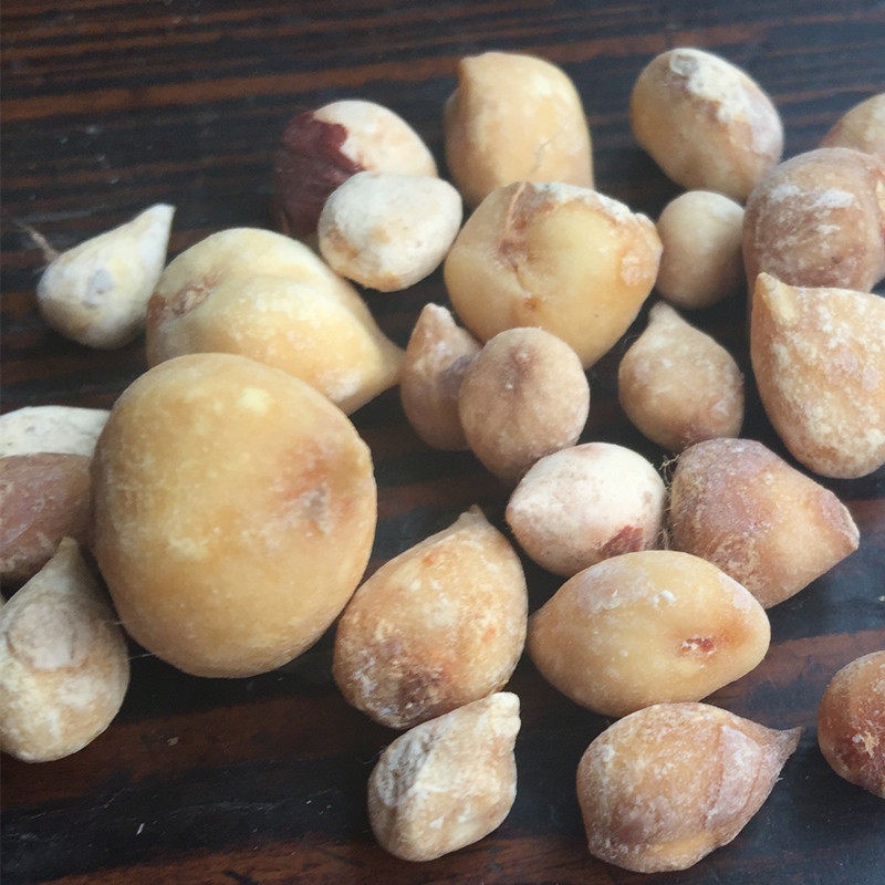 500g中药材光慈姑白慈姑光慈菇白茨菇老鸦瓣头可粉山蛋店有山慈菇