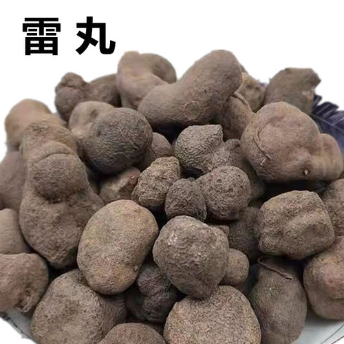 雷丸250克 竹苓 雷实竹林子木连子 整个非特级野生中药材雷矢无硫