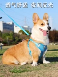 Веревка для подтяжки собаки, маленькая и средняя собака Corki Shiba Inu Ходящая собака веревка может отрегулировать цепь для домашних собак для грудного ремешка