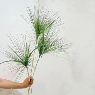 含阳 仿真喷泉草 绿植草插画配材酒店家居室外拍摄造景园林