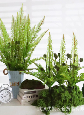 仿真绿植蕨类植物背景墙面橱窗婚庆装饰创意盆栽手感波斯草大蕨叶