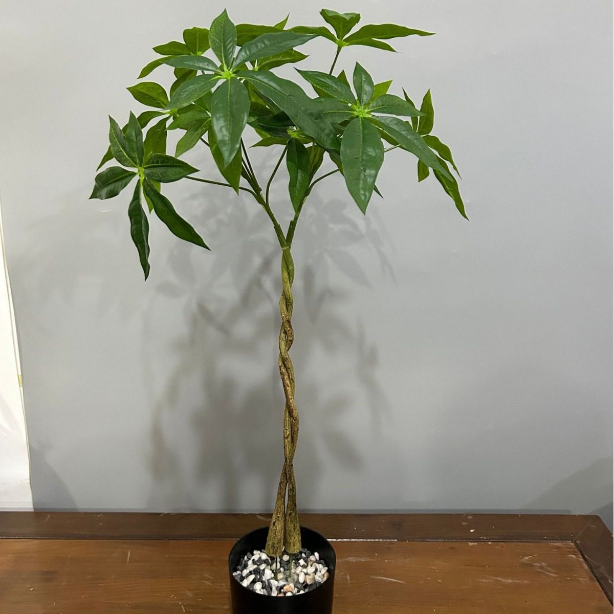 仿生绿植DIY编造型盆景北欧风绿植迷你小枝软杆发财树仿真发财树,家居饰品,仿真植物盆景,淘宝优惠券,粉丝福利购,淘宝优惠卷