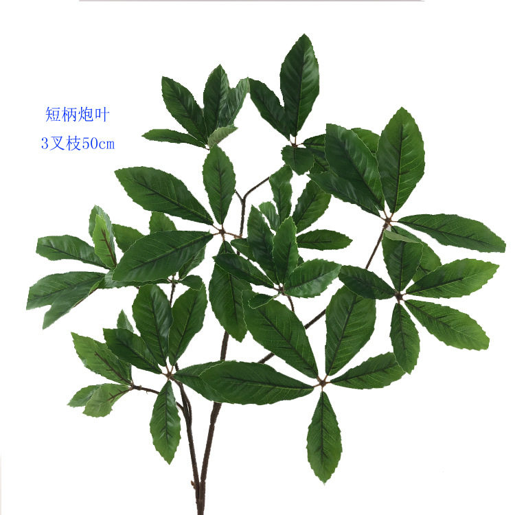 仿真树叶子夏栎植物四叉短柄炮叶栎树青杠叶橡果树青冈叶厂家