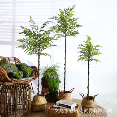 仿真蕨树盆栽假绿植装饰室内造景落地摆件橱窗森系造布景仿生植物