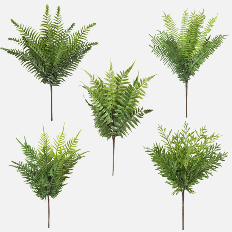 仿真蕨类波斯草蕨草手感软胶凤尾蕨波斯顿蕨造景植物蕨类绿植仿真图片