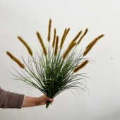 含阳 家居酒店拍摄假花 森系婚庆软装 仿真3头狗尾草 把束大洋葱草