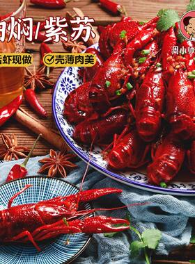 周小帅自营 26年新虾紫苏/油焖6-9钱 小龙虾 750g/盒