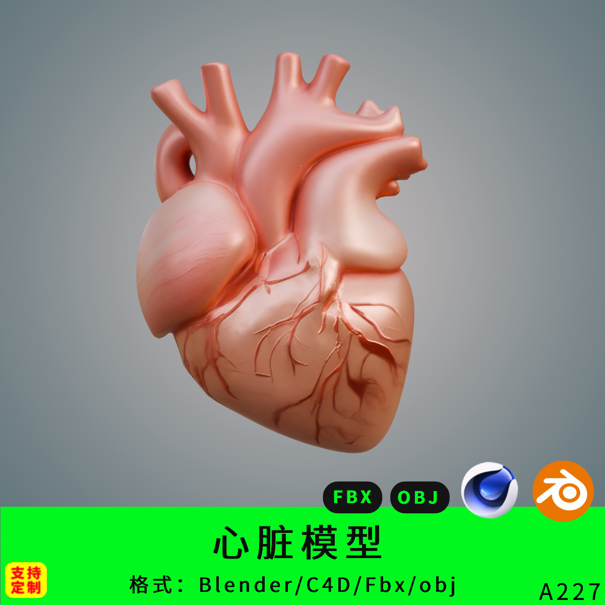 人体心脏三维模型3d素材blender/c4d/fbx/obj解剖模型人体心脏