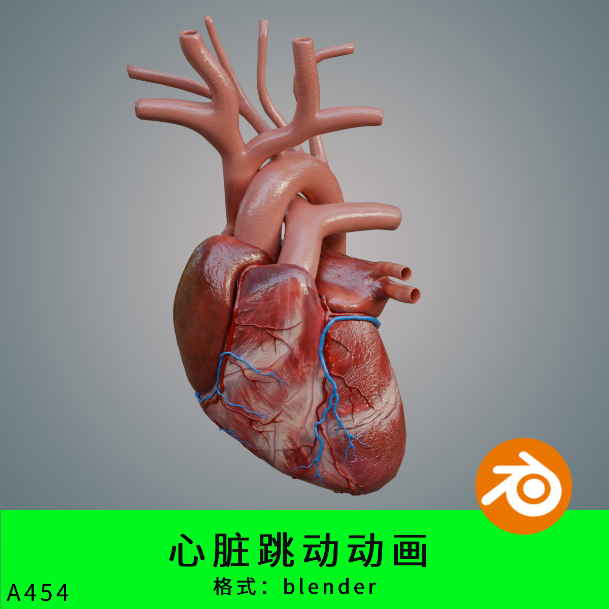 心脏跳动动画三维模型3d素材blender/fbx内脏结构解刨