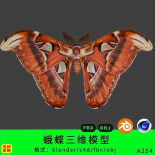 蛾蝶帝王蚕蛾三维写实模型3d素材blender/c4d/fbx/obj小飞蛾飞虫