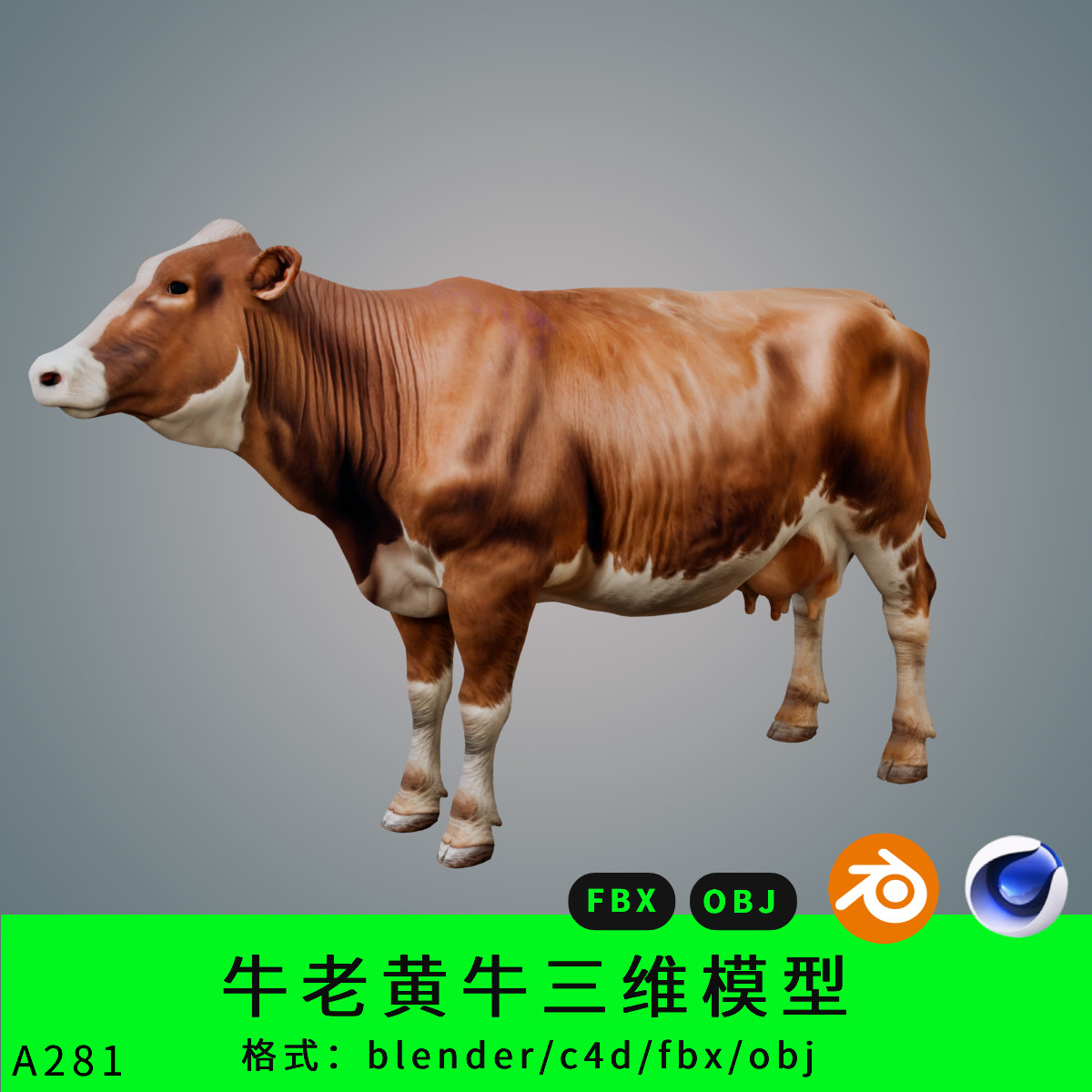 牛三维模型3d素材blender/c4d/fbx/obj写实老黄牛公牛母牛
