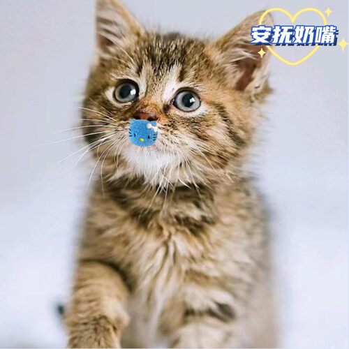 【小码】猫咪安抚奶嘴宠物猫用安抚奶嘴神器新生幼犬幼猫狗狗玩具