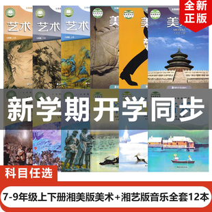 正版包邮2025适用湘艺版初中789七八九年级上下册音乐+湘美版美术全套12本 湘美版美术+湘艺版音乐初一二三上下册全套教材教科书