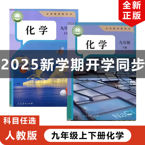 2025人教版九年级上下册化学