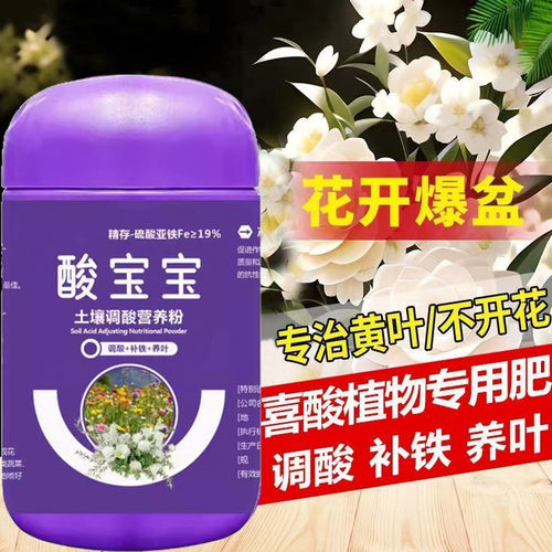 酸宝宝硫酸亚铁酸性肥料