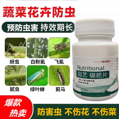 园艺防虫片糖化硼肥片