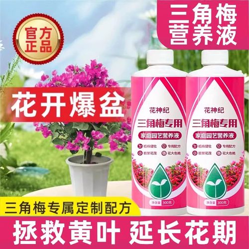 三角梅开花专用肥促花开爆花