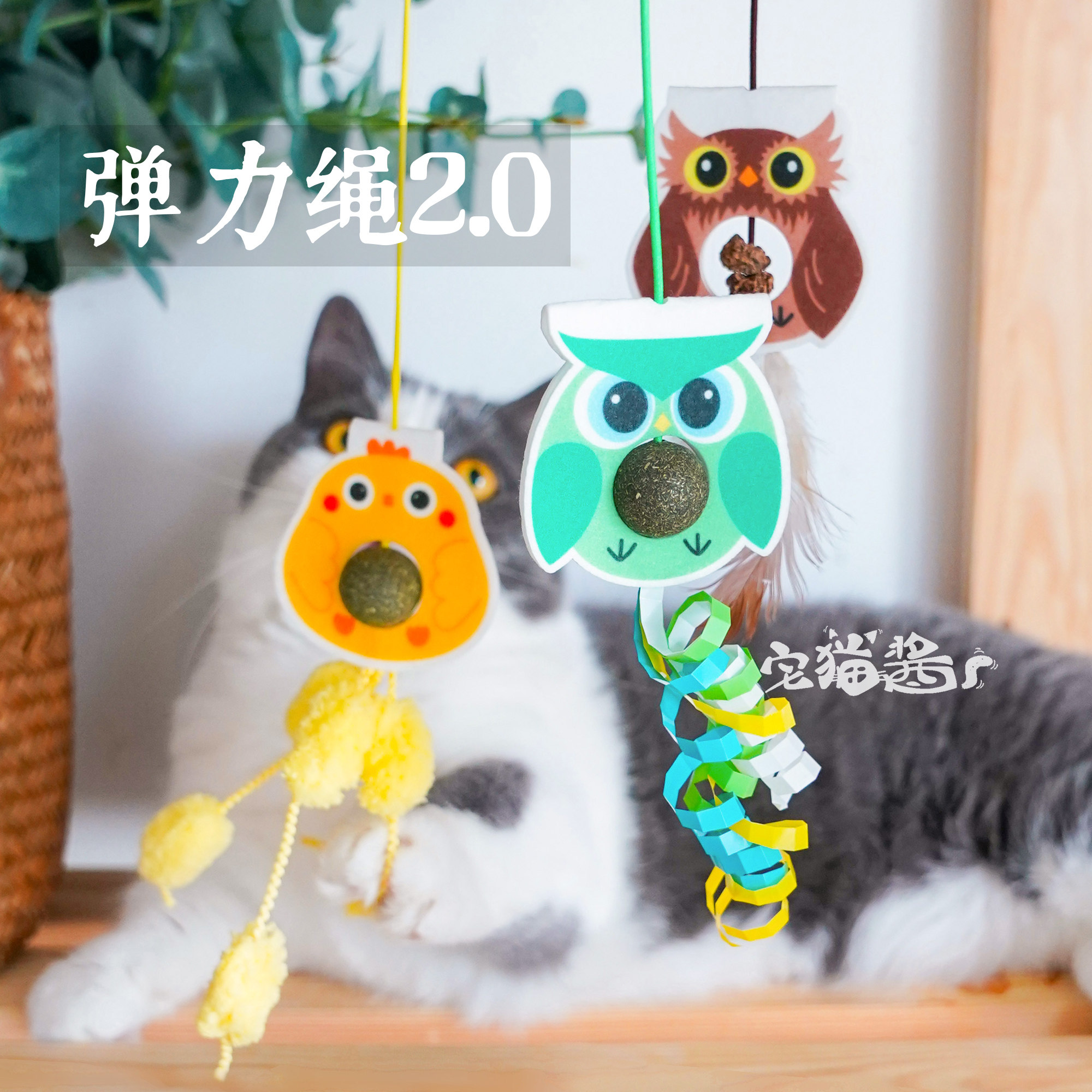 猫咪自嗨解闷悬挂式弹力绳玩具图片