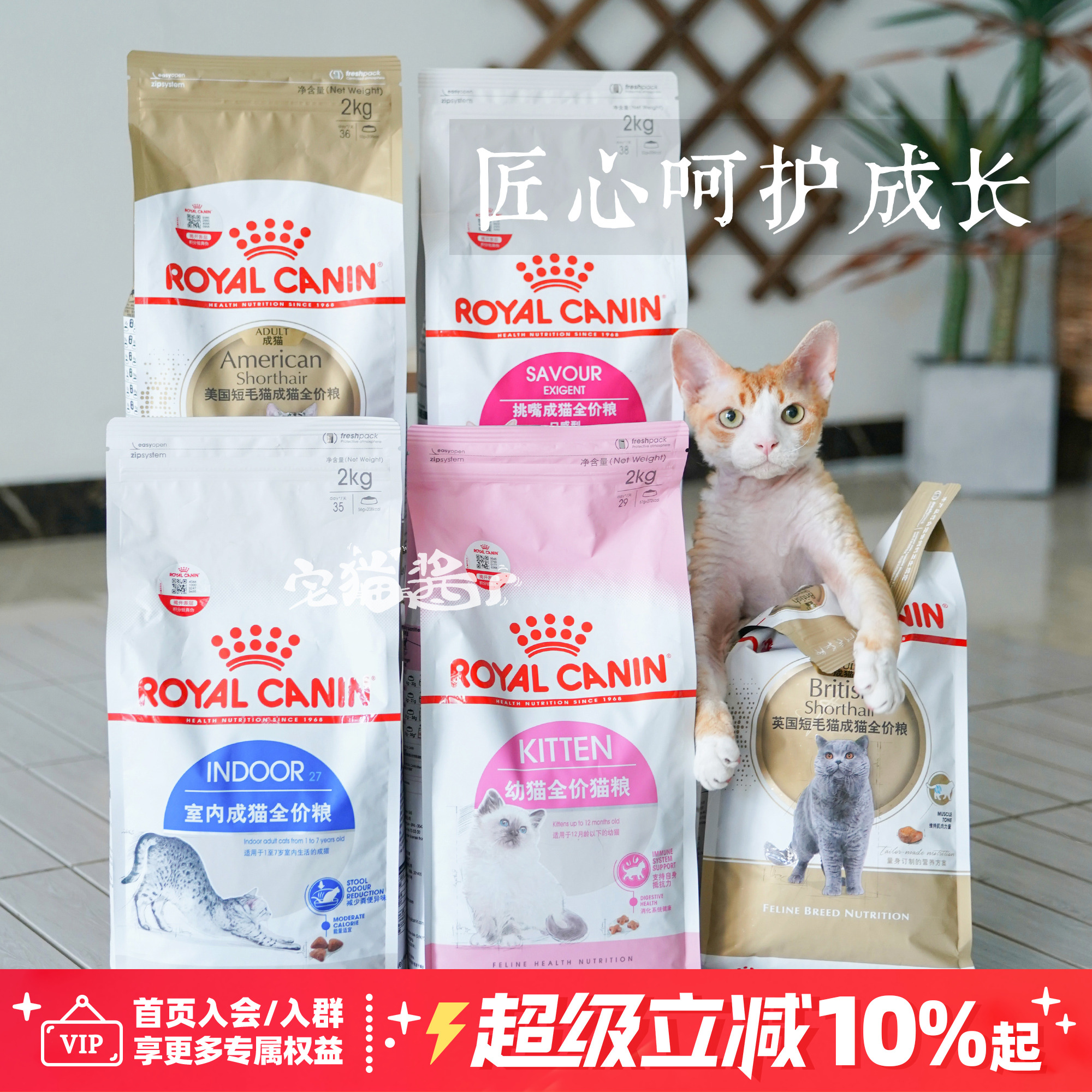 宅猫酱皇家bk34奶糕k36幼猫粮