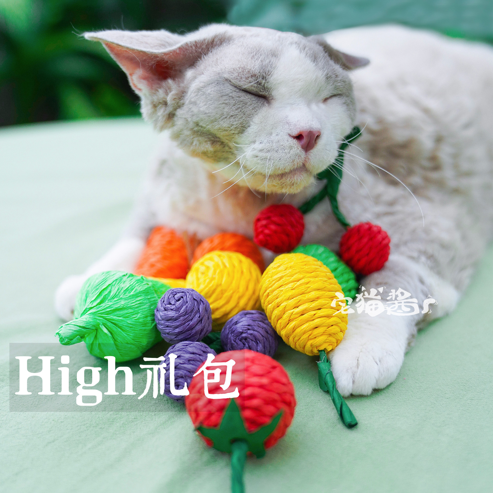 宅猫酱水果蔬菜啃咬纸绳球猫咪逗猫棒铃铛猫玩具自嗨解闷耐咬磨牙图片