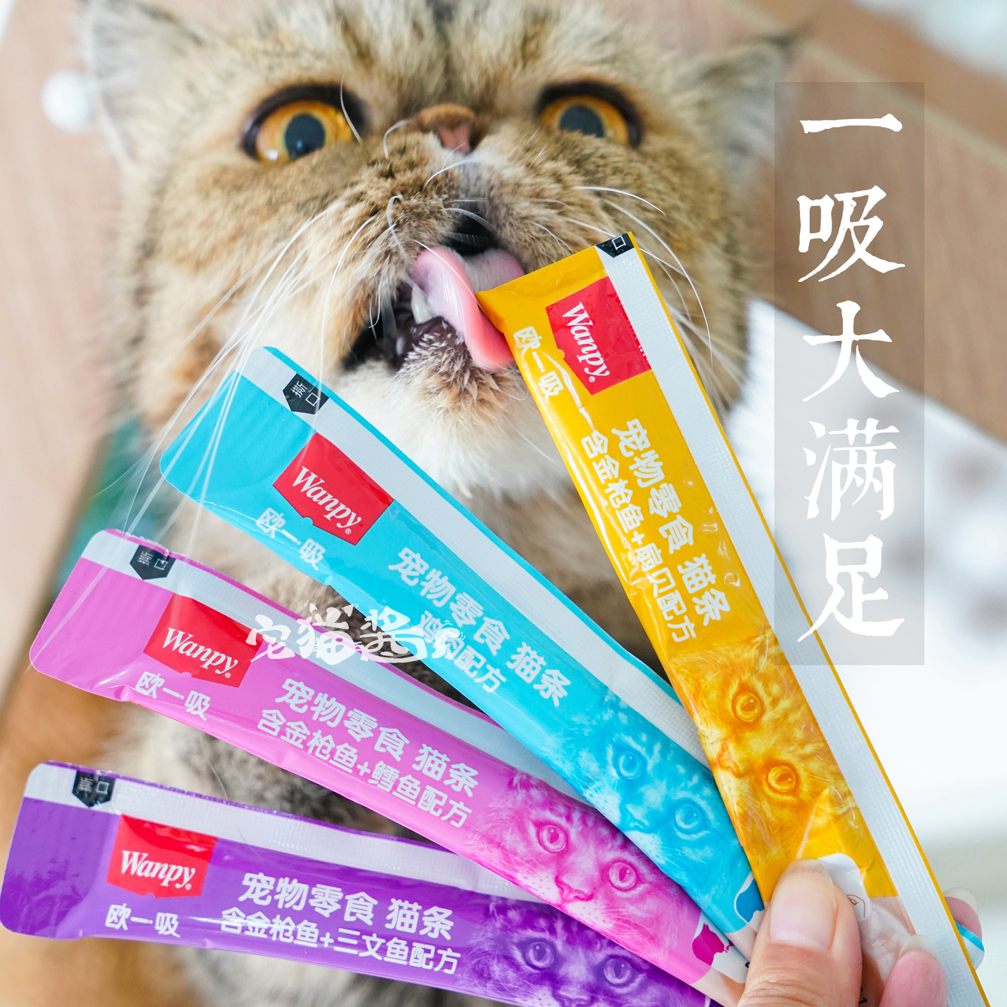 宅猫酱 wanpy顽皮欧一吸猫咪零食猫条三文鱼配方湿粮条25支