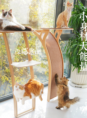 宅猫酱 JoyCat观景台猫爬架吸盘猫窝猫树一体用品大型实木猫跳台