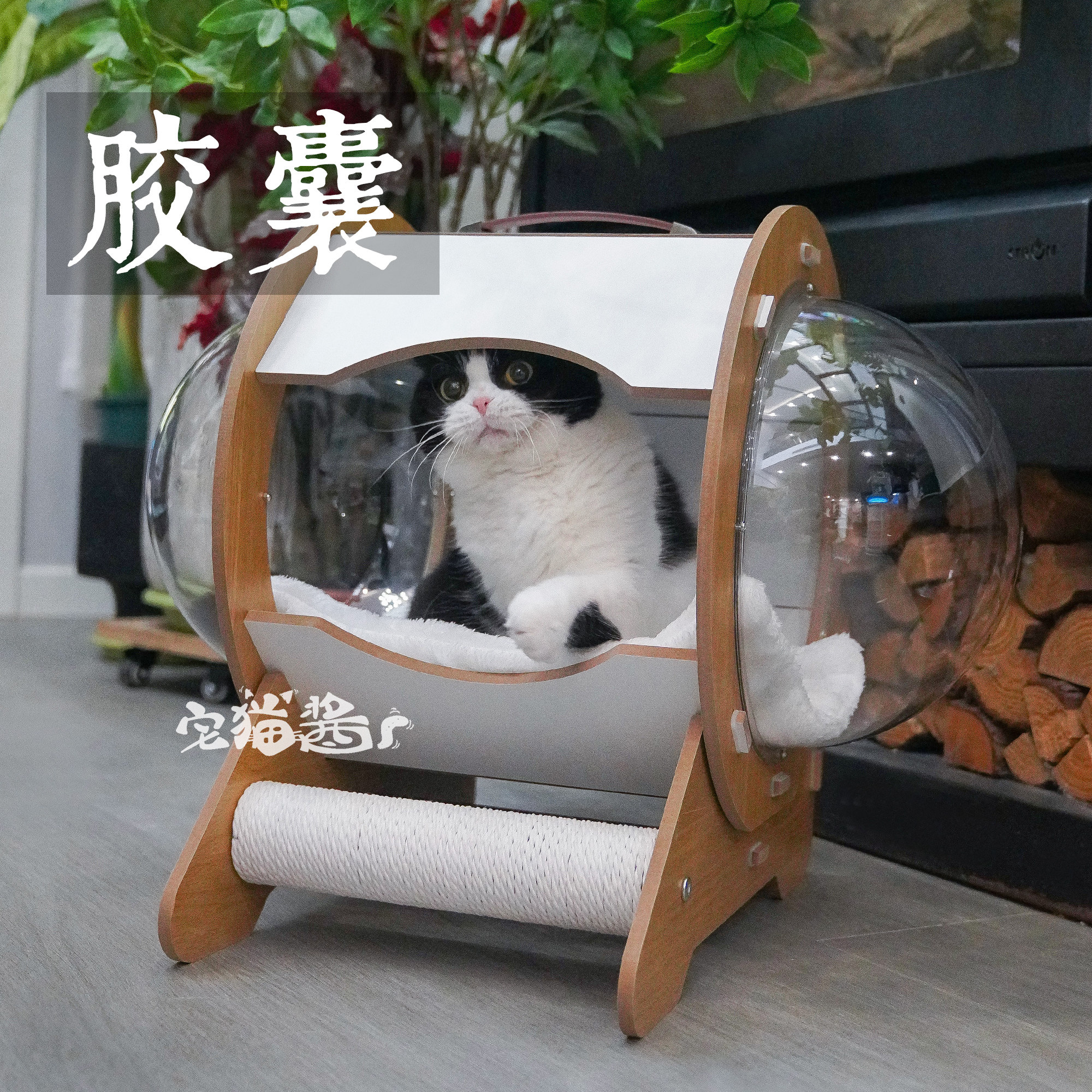 宅猫酱 胶囊太空舱猫房子透明别墅四季通用猫床一体式猫窝猫玩具,宠物/宠物食品及用品,猫窝/屋/帐篷/沙发,淘宝优惠券,粉丝福利购,淘宝优惠卷