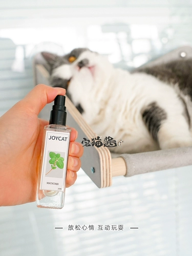 Дом кошачий соус joycat meow счастливая вода мята