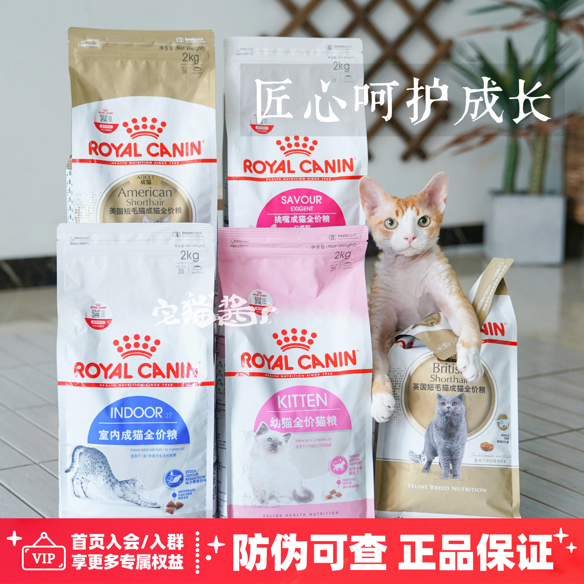 宅猫酱皇家bk34奶糕k36幼猫粮