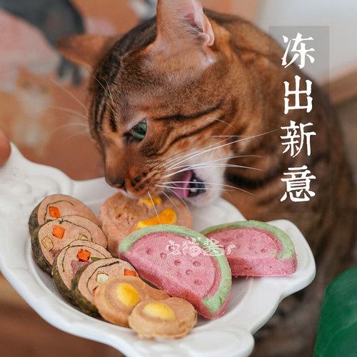 宅猫酱猫冻干零食组合