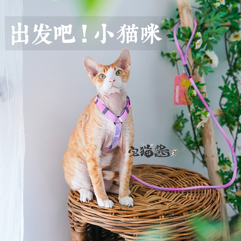 Touchcat工字形猫咪牵引绳