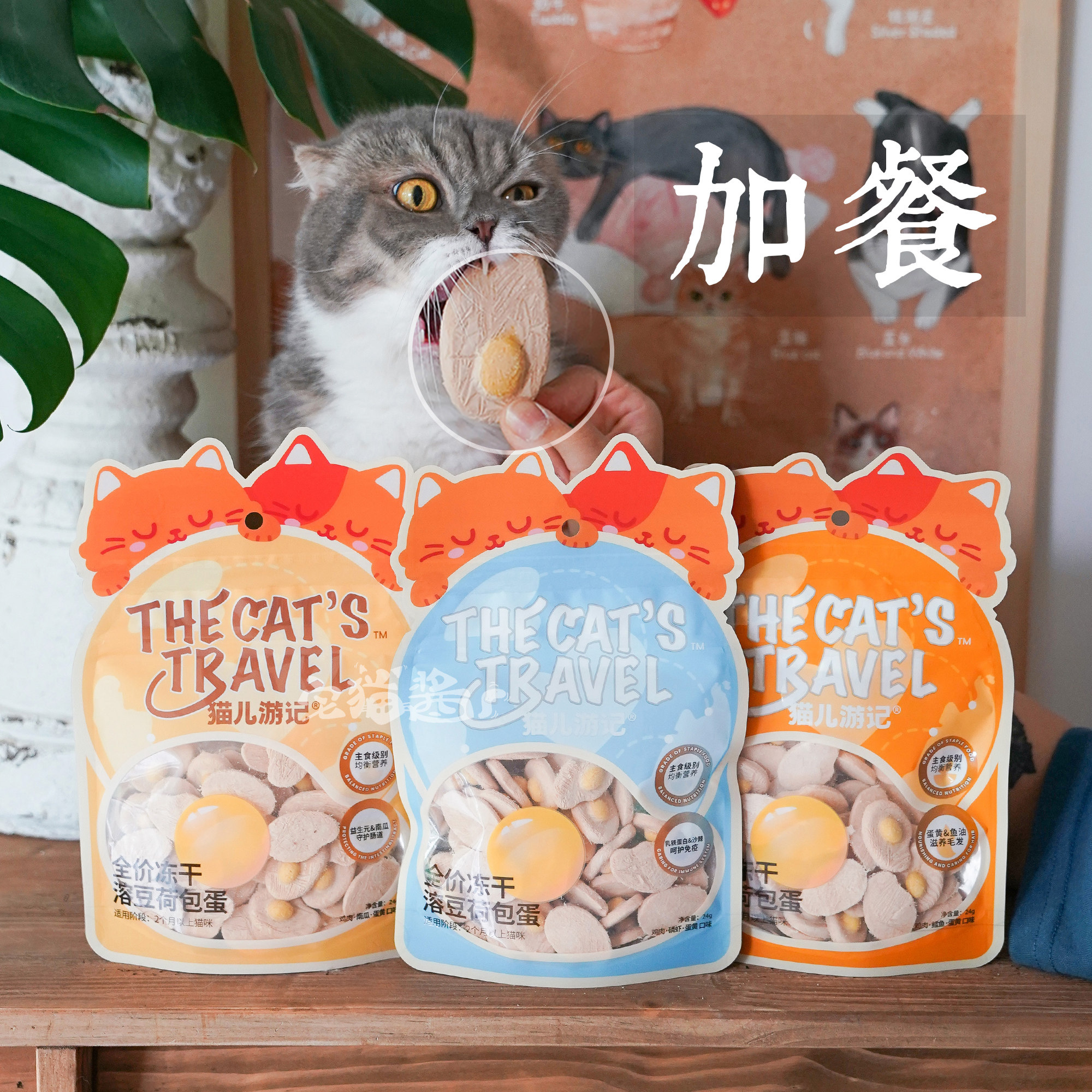 宅猫酱 猫儿游记荷包蛋主食冻干鸡肉磷虾鳕鱼南瓜蛋黄营养拌粮24g