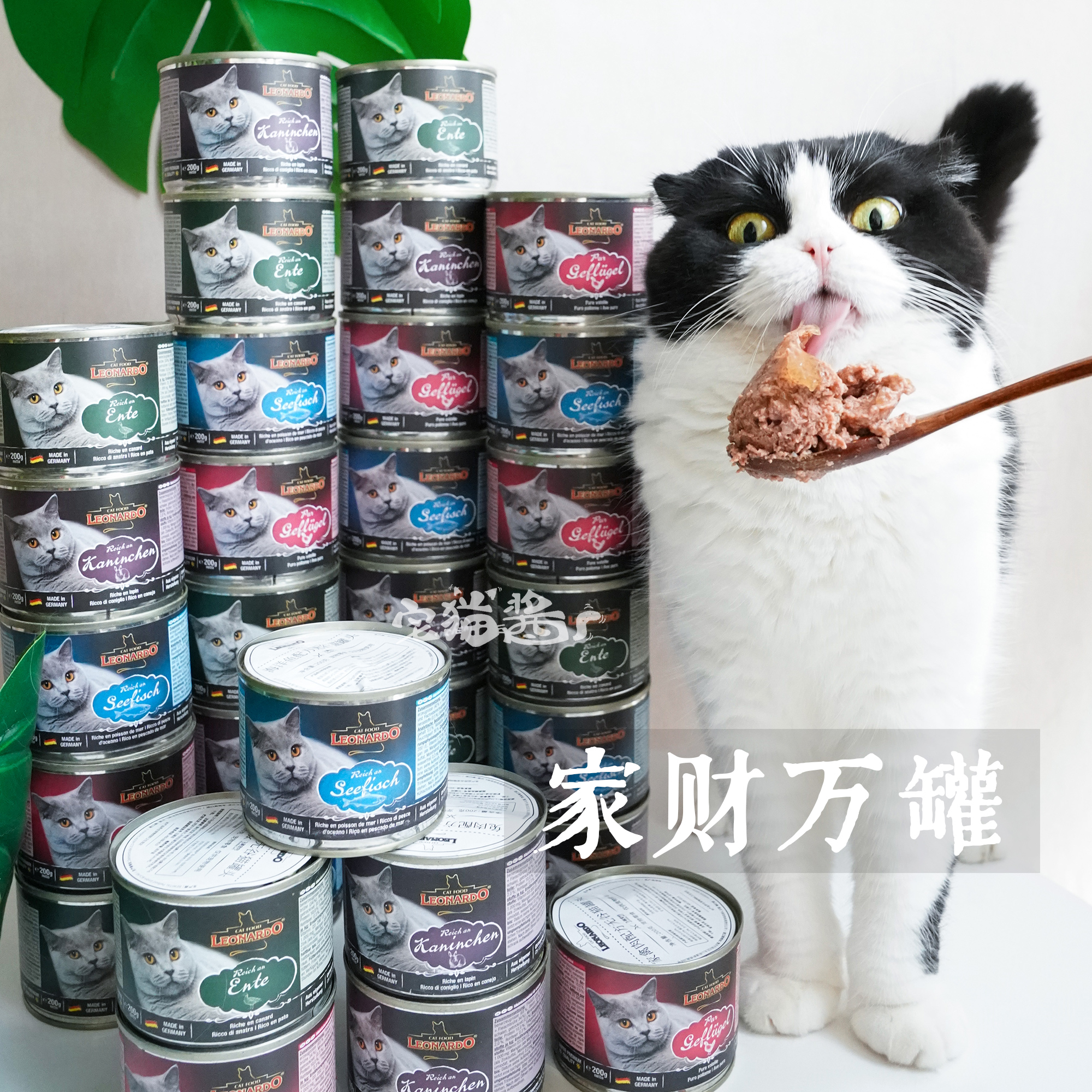 德国小李子无谷主食猫罐头
