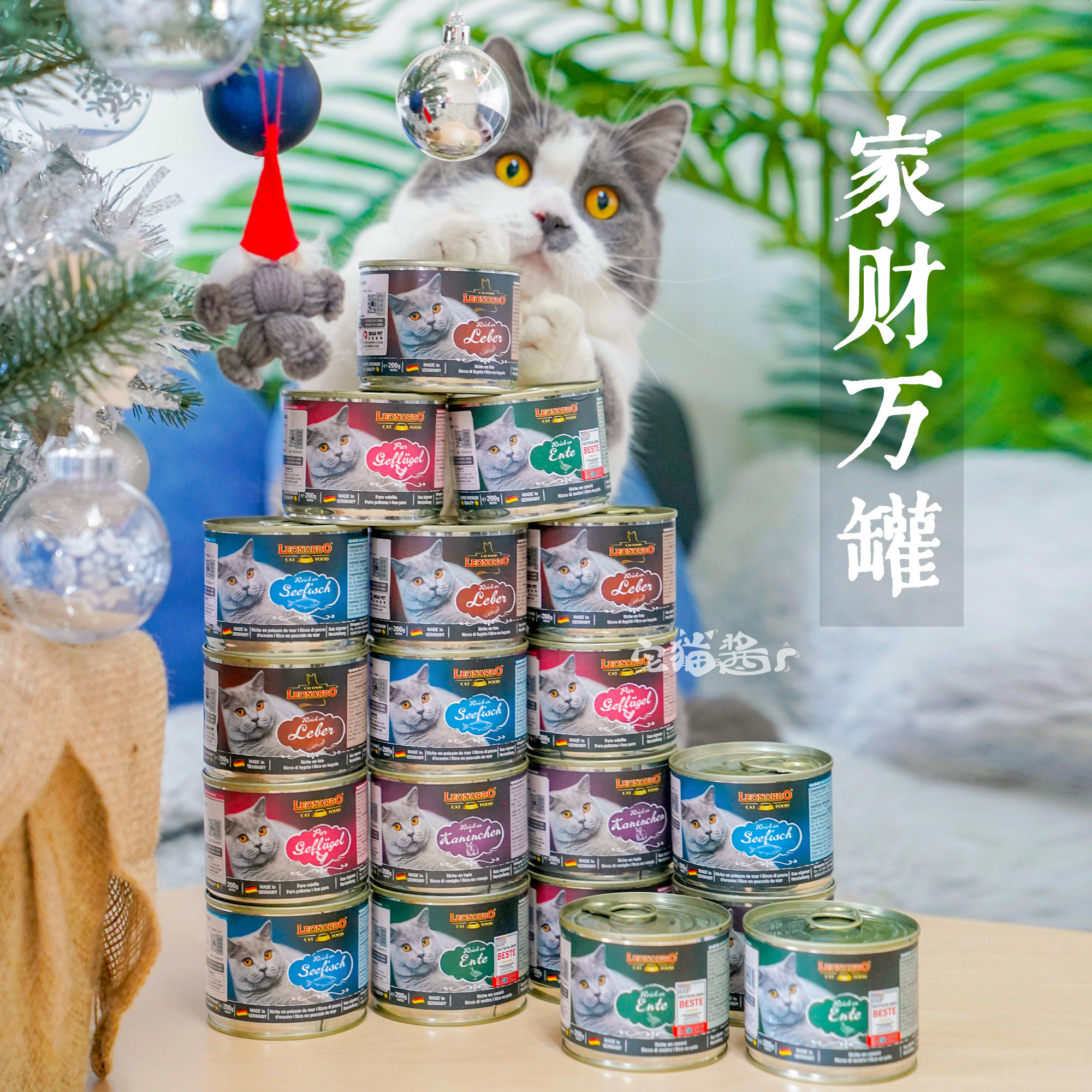 宅猫酱小李子猫罐头德国进口菲力主食罐头猫咪营养餐包猫湿粮