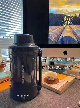 便携电热水杯MORPHY RICHARDS/摩飞电器 MR6061