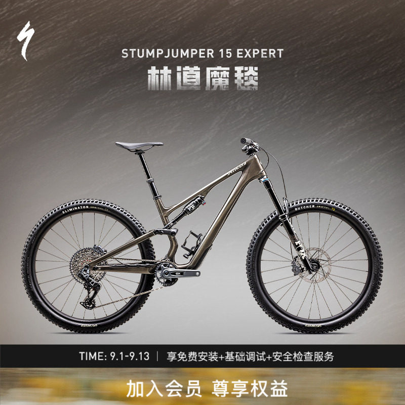 SPECIALIZED闪电 STUMPJUMPER 15 EXPERT 碳纤维全避震山地自行车