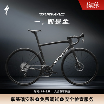 闪电TARMACSL8碳纤维电变公路车