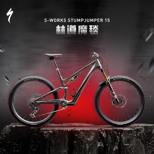 SPECIALIZED闪电碳纤维软尾