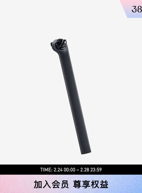 SPECIALIZED闪电 SHIV DISC 碳纤维SHIV专用座管