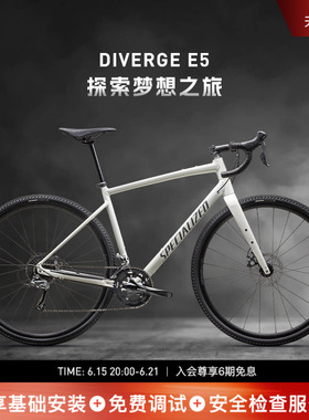 SPECIALIZED闪电 DIVERGE  E5 铝合金混合路面公路骑行自行车