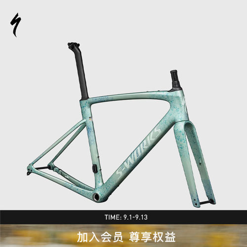 闪电S-WORKSROUBAIXSL8车架