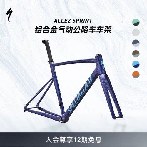 SPECIALIZED公路自行车车架组