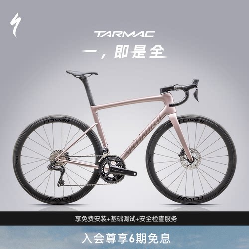 SPECIALIZED闪电公路车碳纤维