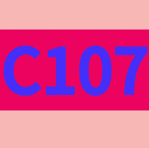 C107 浮动款按照直播间展示地垫